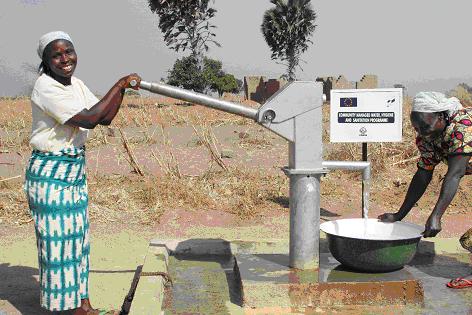 Suzanna manages to mushi © Suzanne Porter