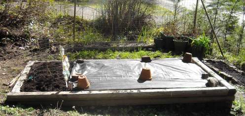 raised bed