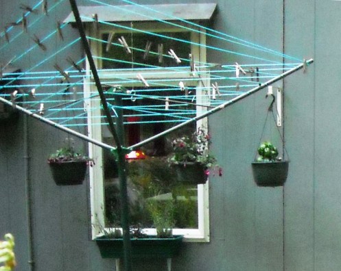 21-05 hanging baskets