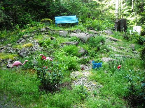 06-13 back 40 before