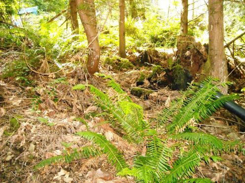 06-13 right side before