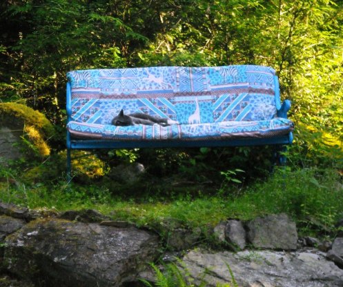 01-07 stella bench 2