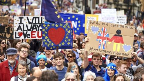 people-hold-up-pro-europe