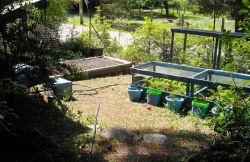 garden 2018